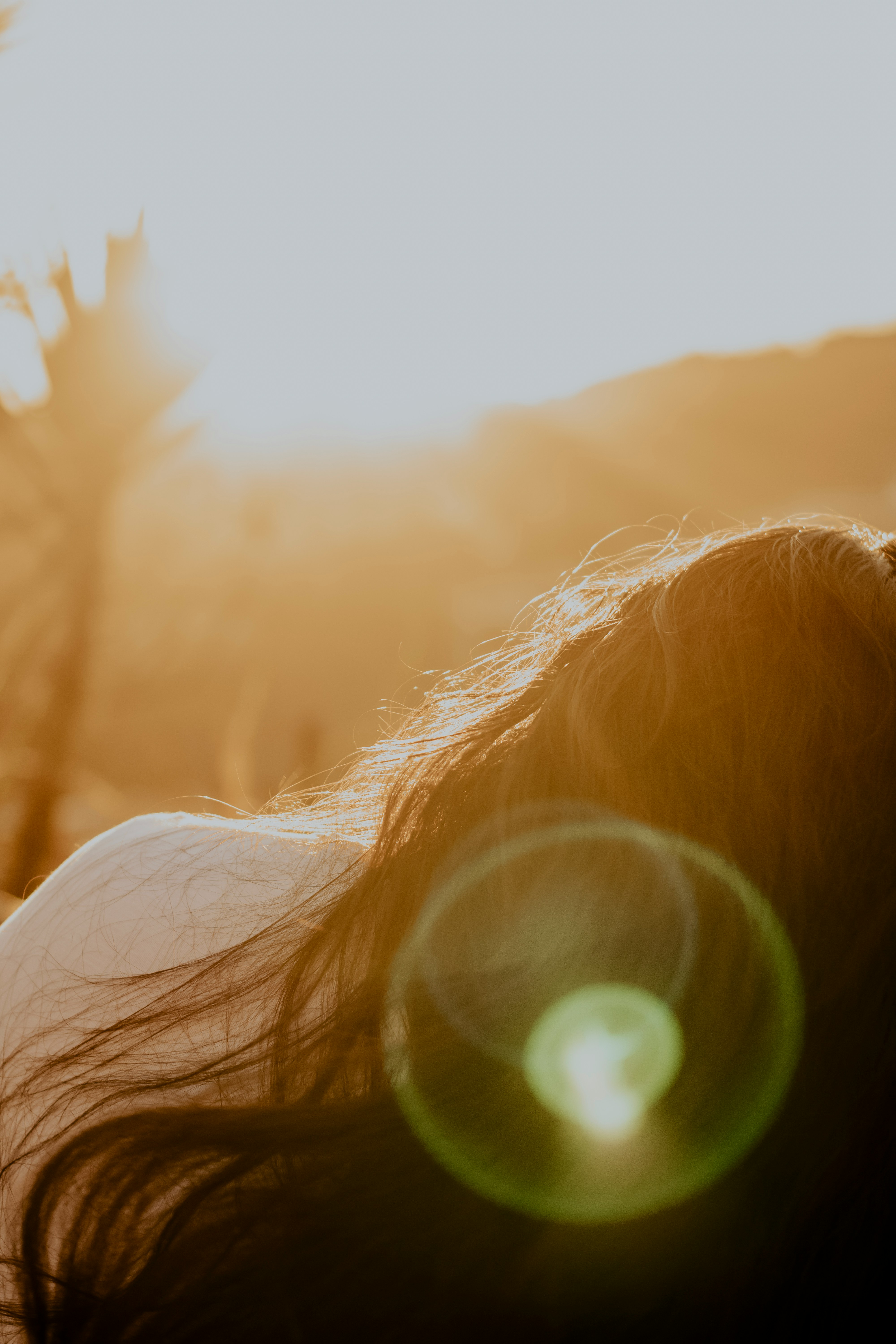 Haare einer Frau im goldenen Abendlicht mit Lichtreflex