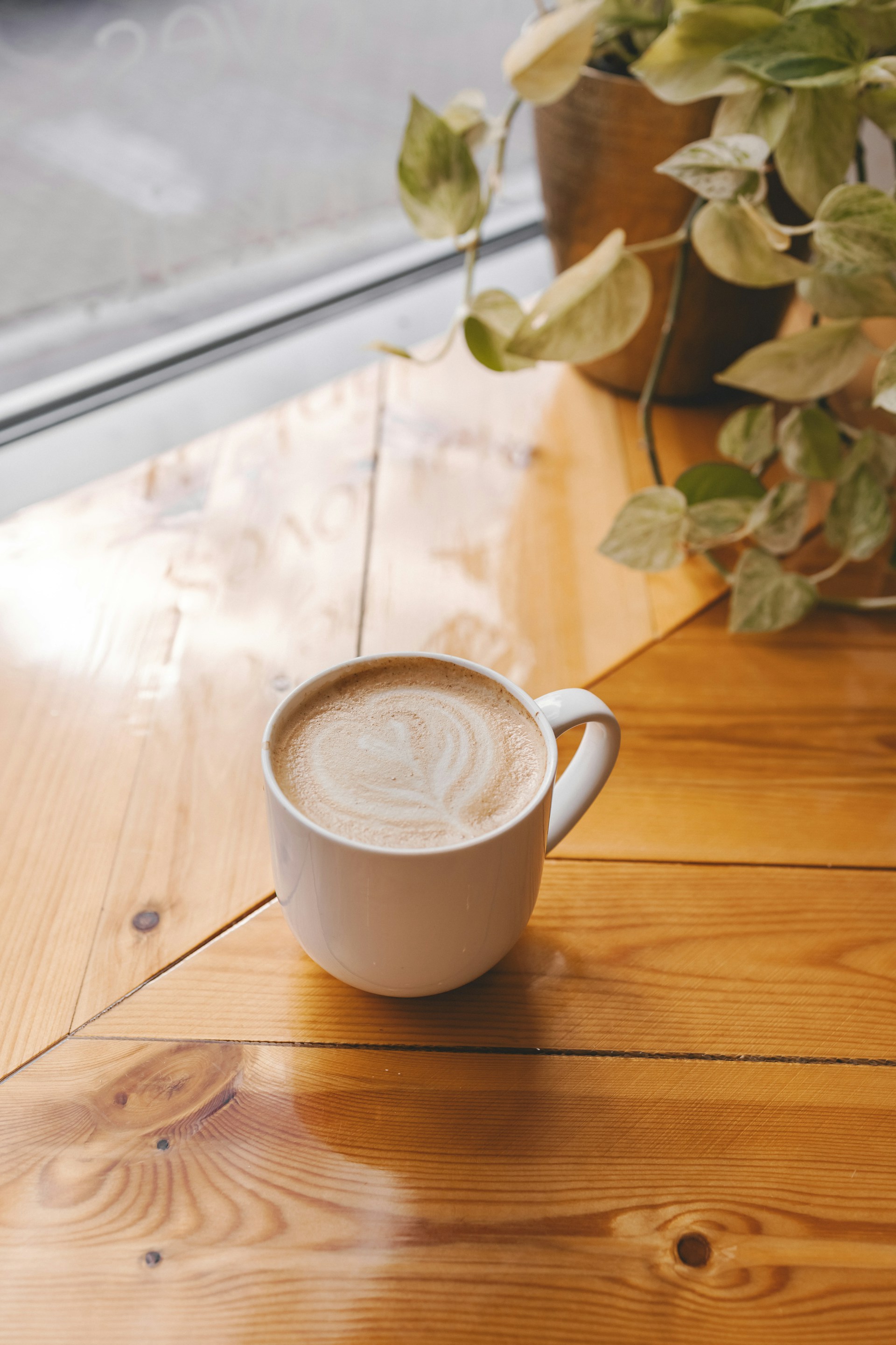 Tasse Milchkaffee auf einem Holztisch am Fenster, daneben eine Pflanze