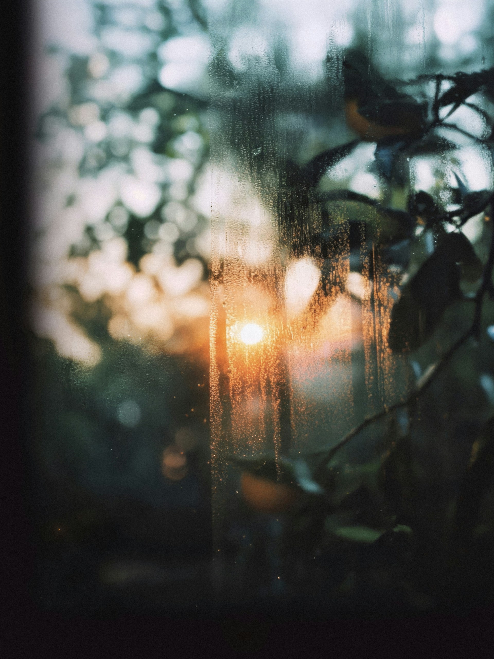 Sonnenlicht fällt durch eine vom Regen benetzte Fensterscheibe