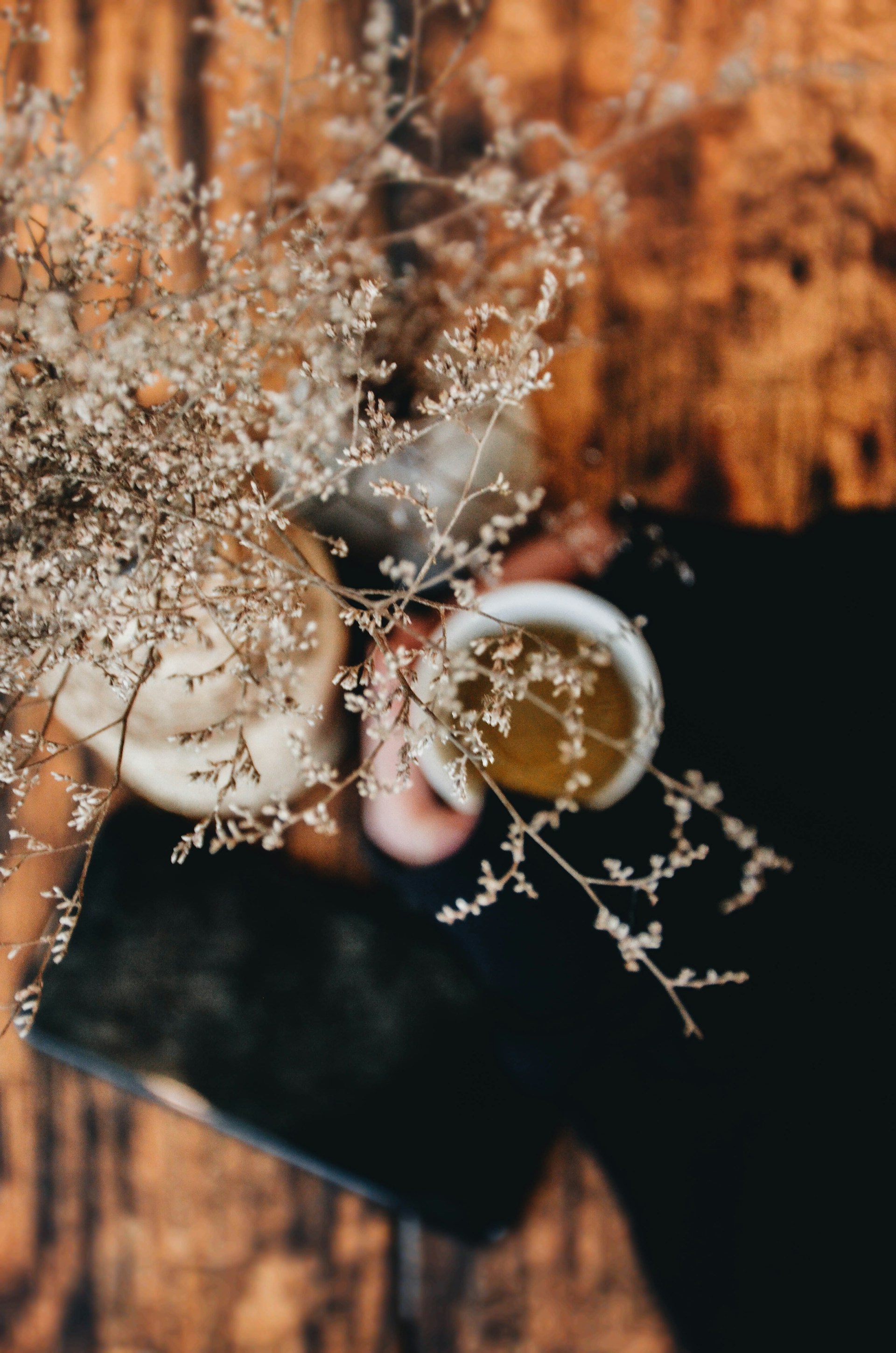 Hand hält eine Tasse Tee zwischen zarten Trockenblumen